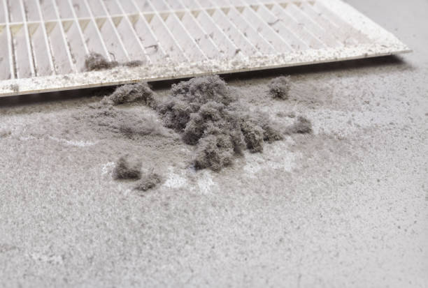 Best Professional Duct Cleaning Services  in Meridian, MS