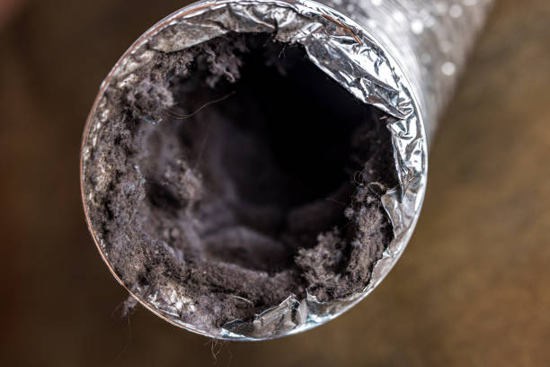 Best Air Duct Cleaning Near Me  in Meridian, MS